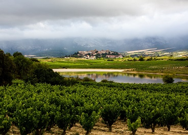 Rioja alcanza los 162 ‘Viñedos Singulares’
