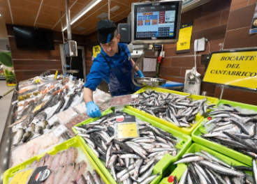 Campaña de anchoa del Cantábrico de Uvesco