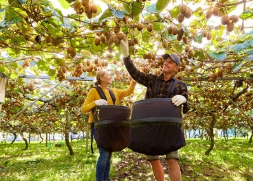 El objetivo sostenible de Zespri