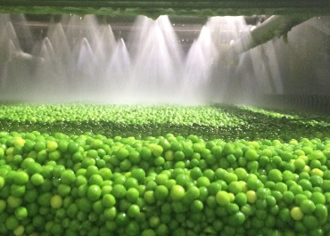 Buen momento para las verduras congeladas